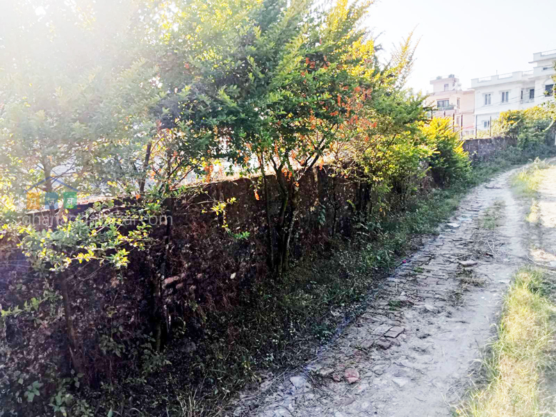 Land on Sale at Budhanilkantha